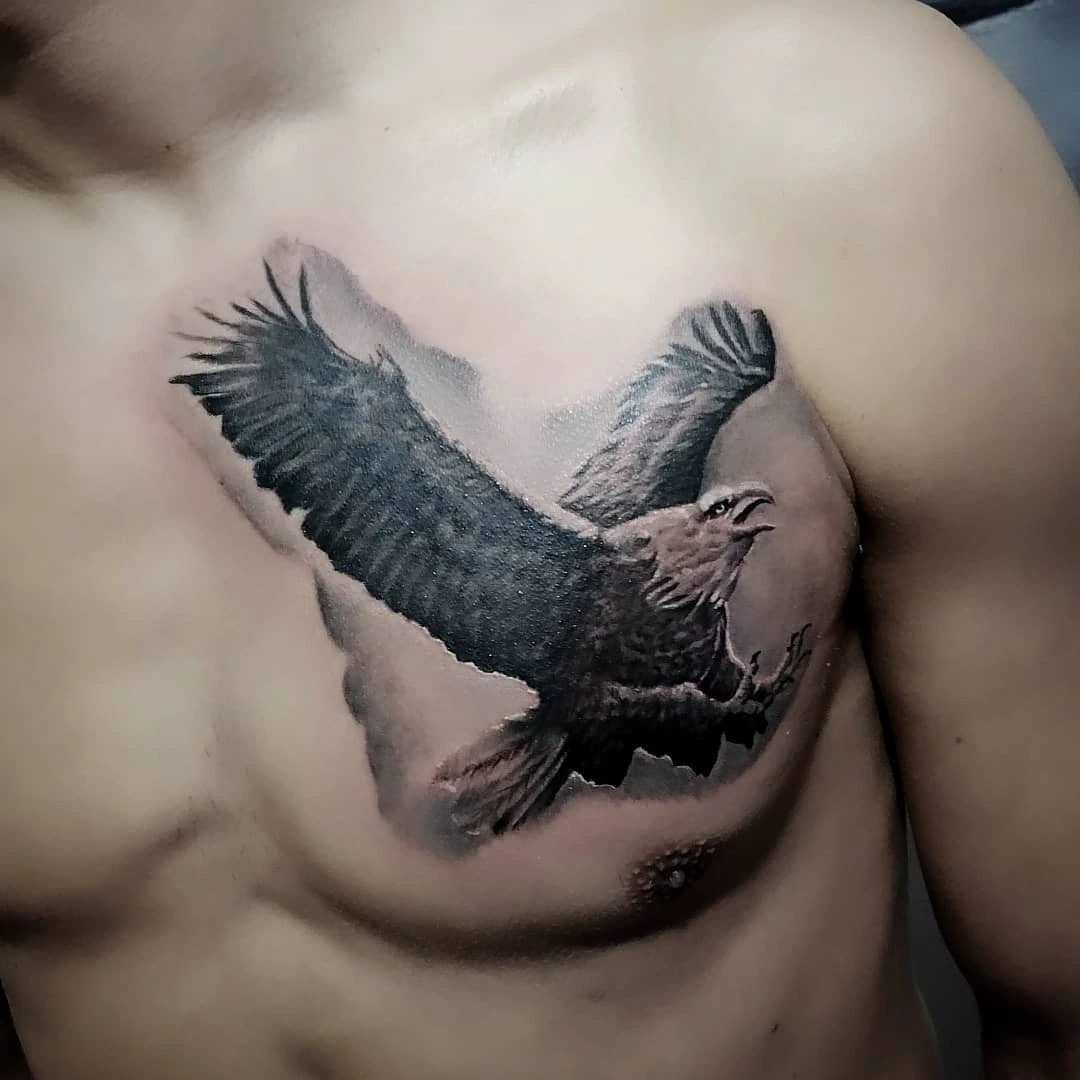 Eagle / large bird in flight with talons