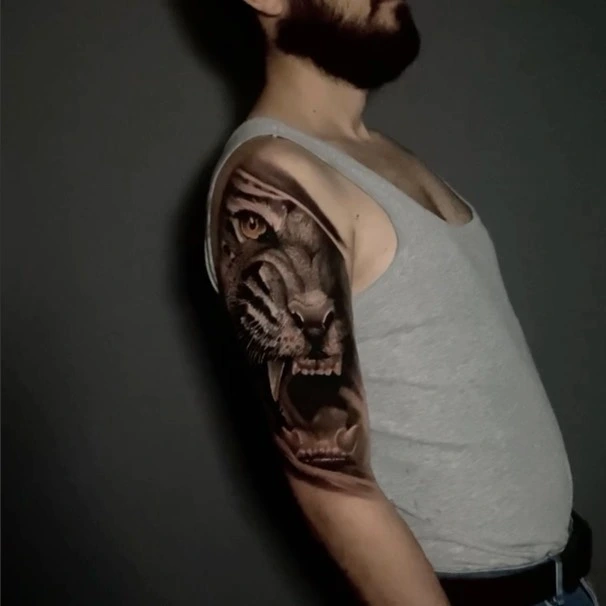 Roaring lion / lioness face on shoulder