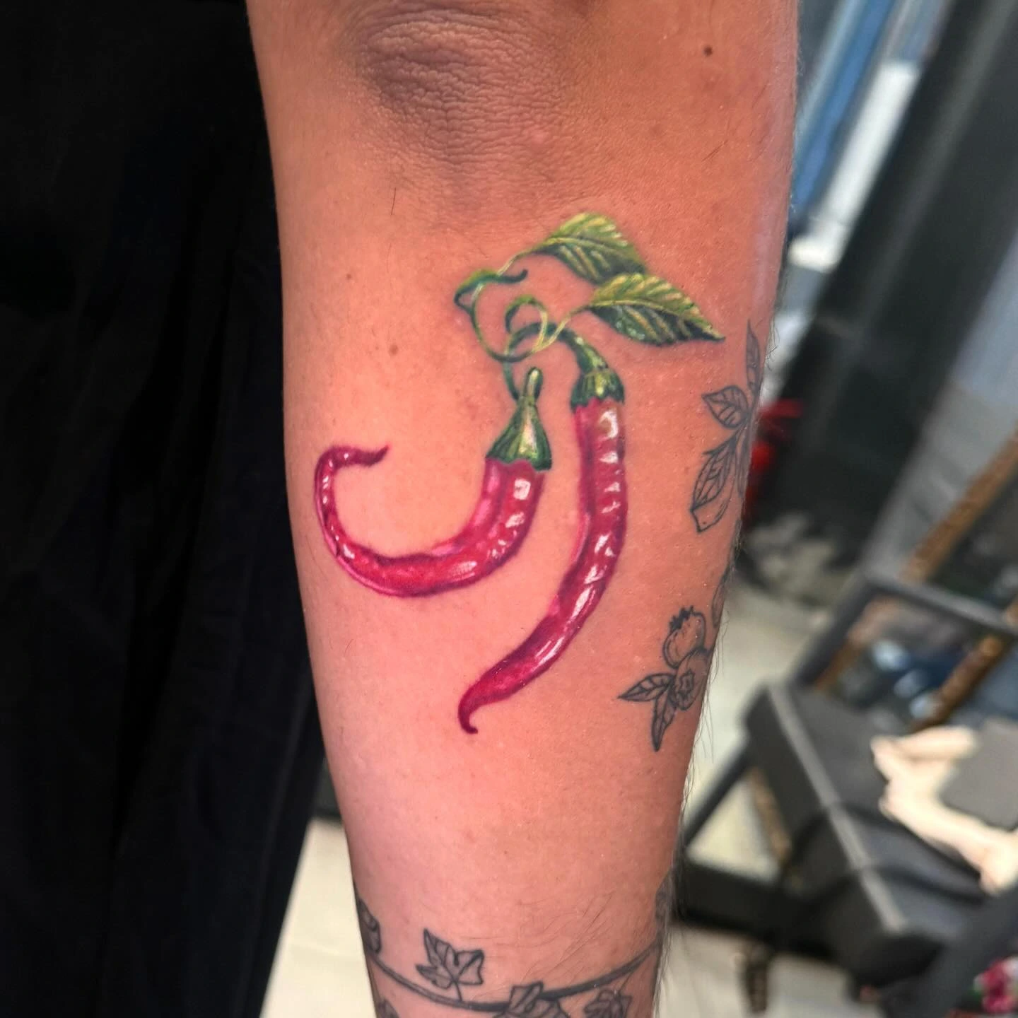 Two red chili peppers on stem with green leaves