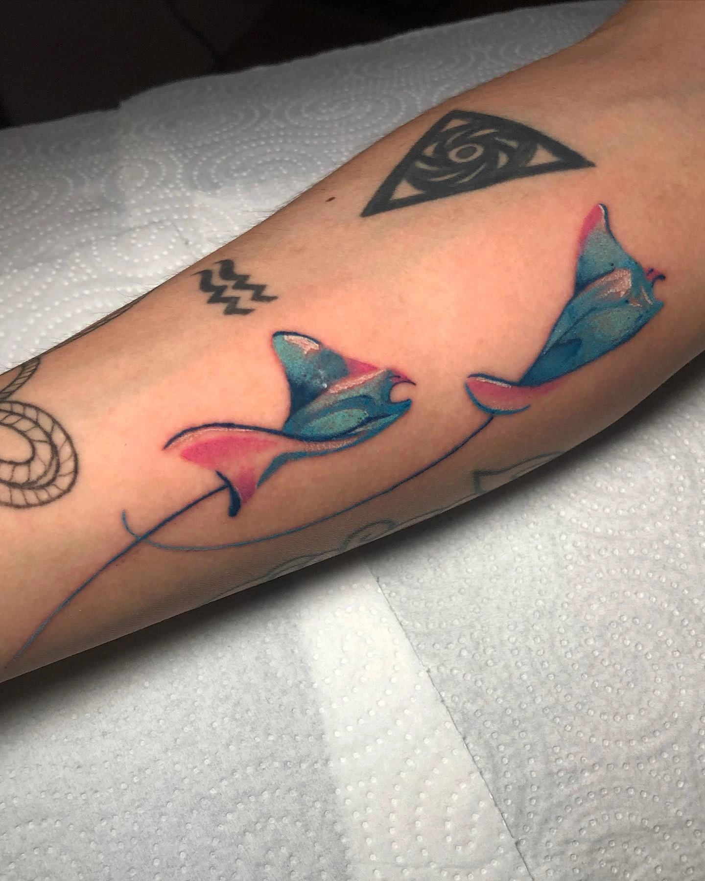 Pair of stylized manta rays in blue/pink watercolor with vine line