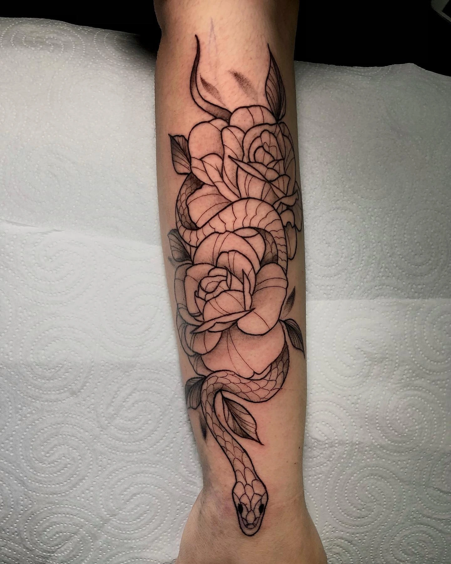 Linework-stage snake wrapped through two roses