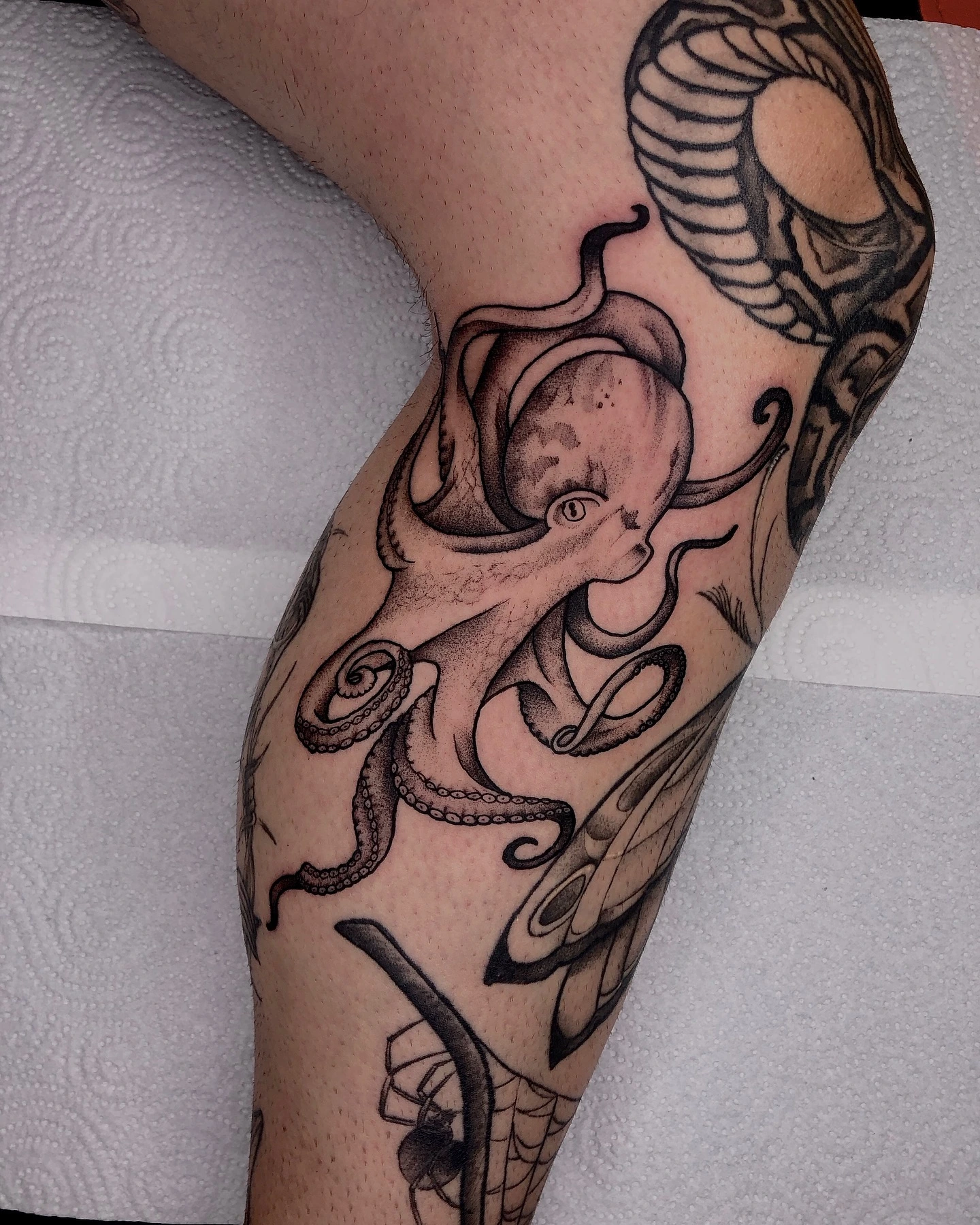 Black-and-grey illustrative octopus