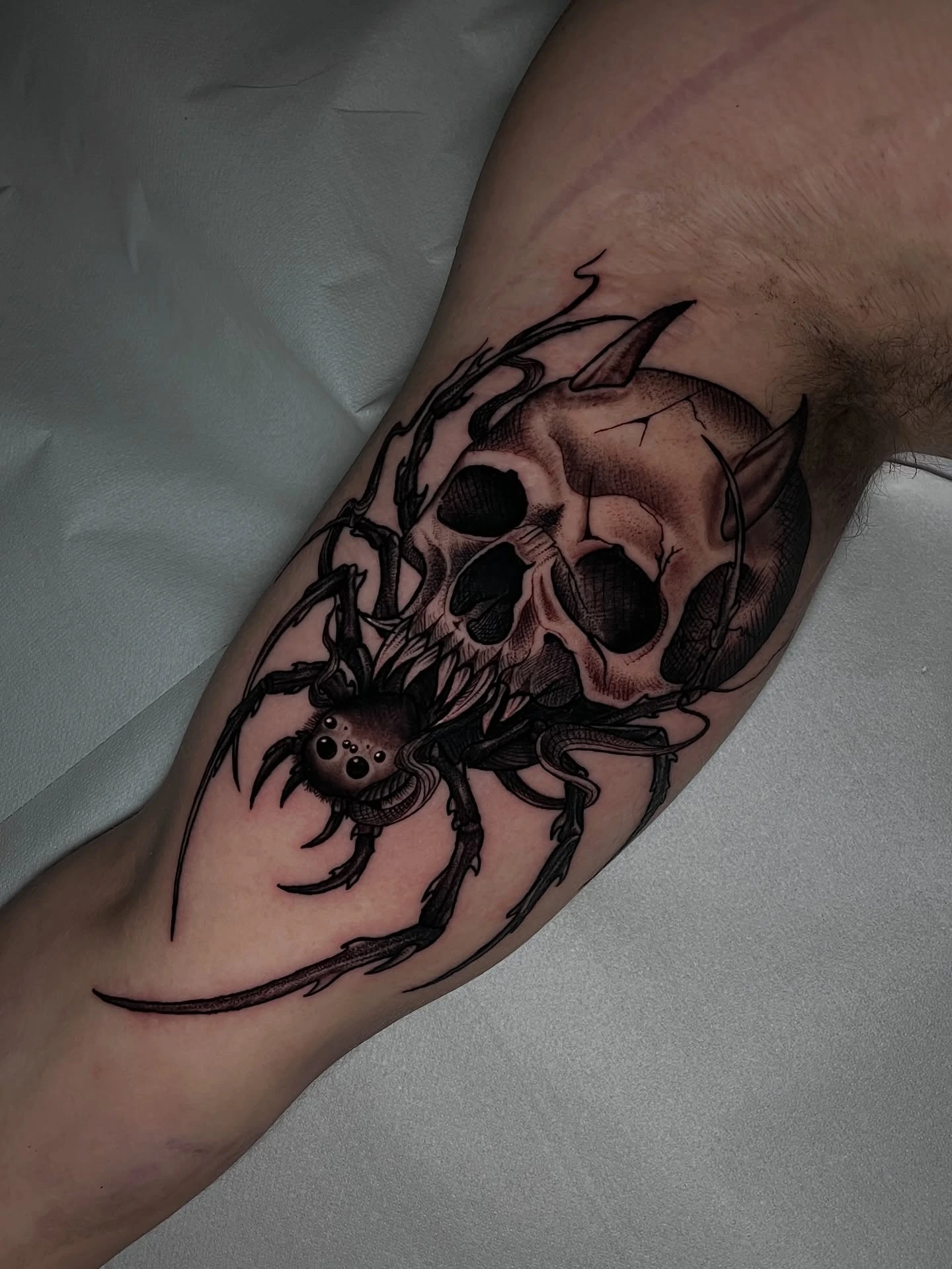 Spider with skull body and web