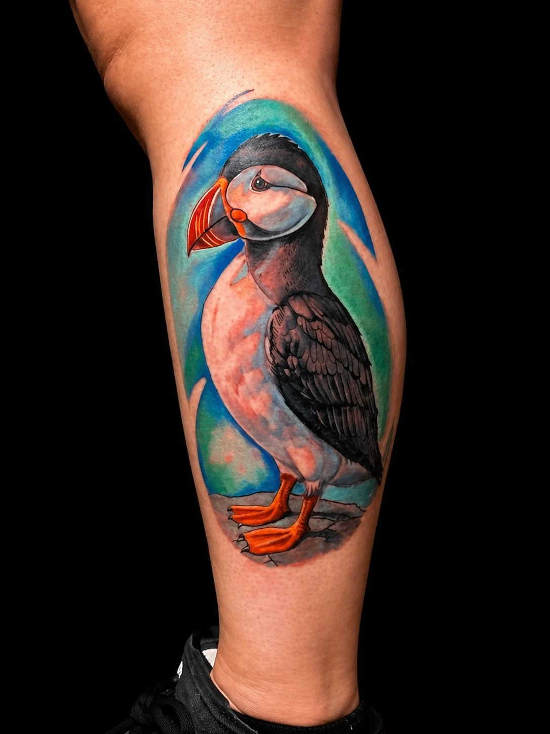 Atlantic puffin (lundefugl) with teal/turquoise wash background, neo-traditional color