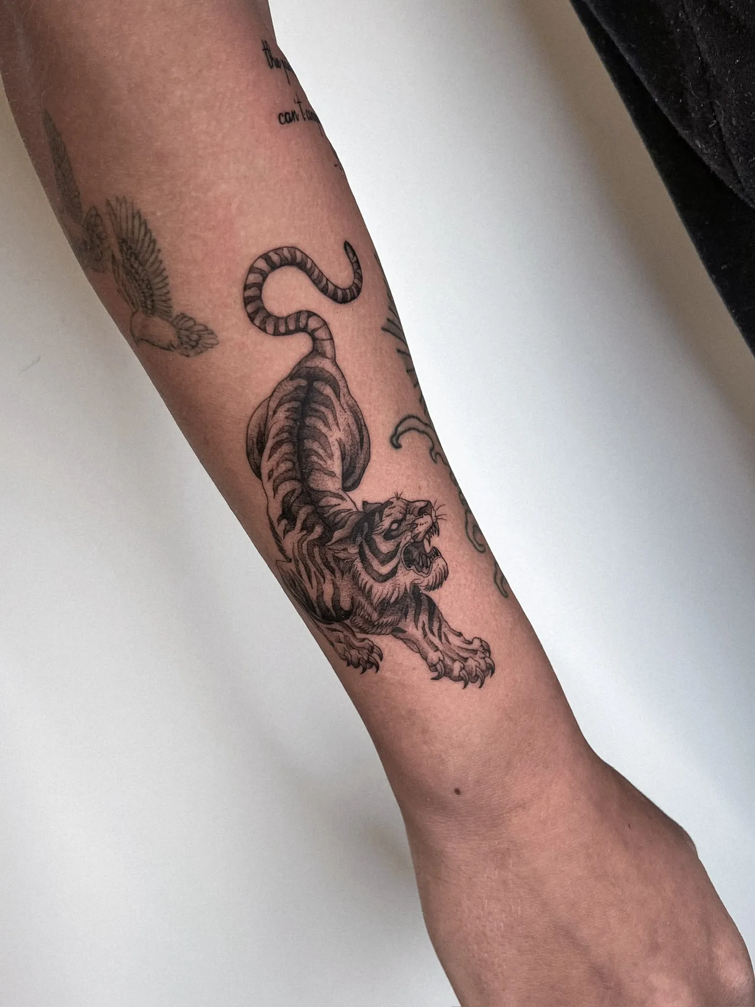 black & grey crouching tiger with curled tail and wave elements on forearm, surrounded by older small tattoos (a bird and illegible script)