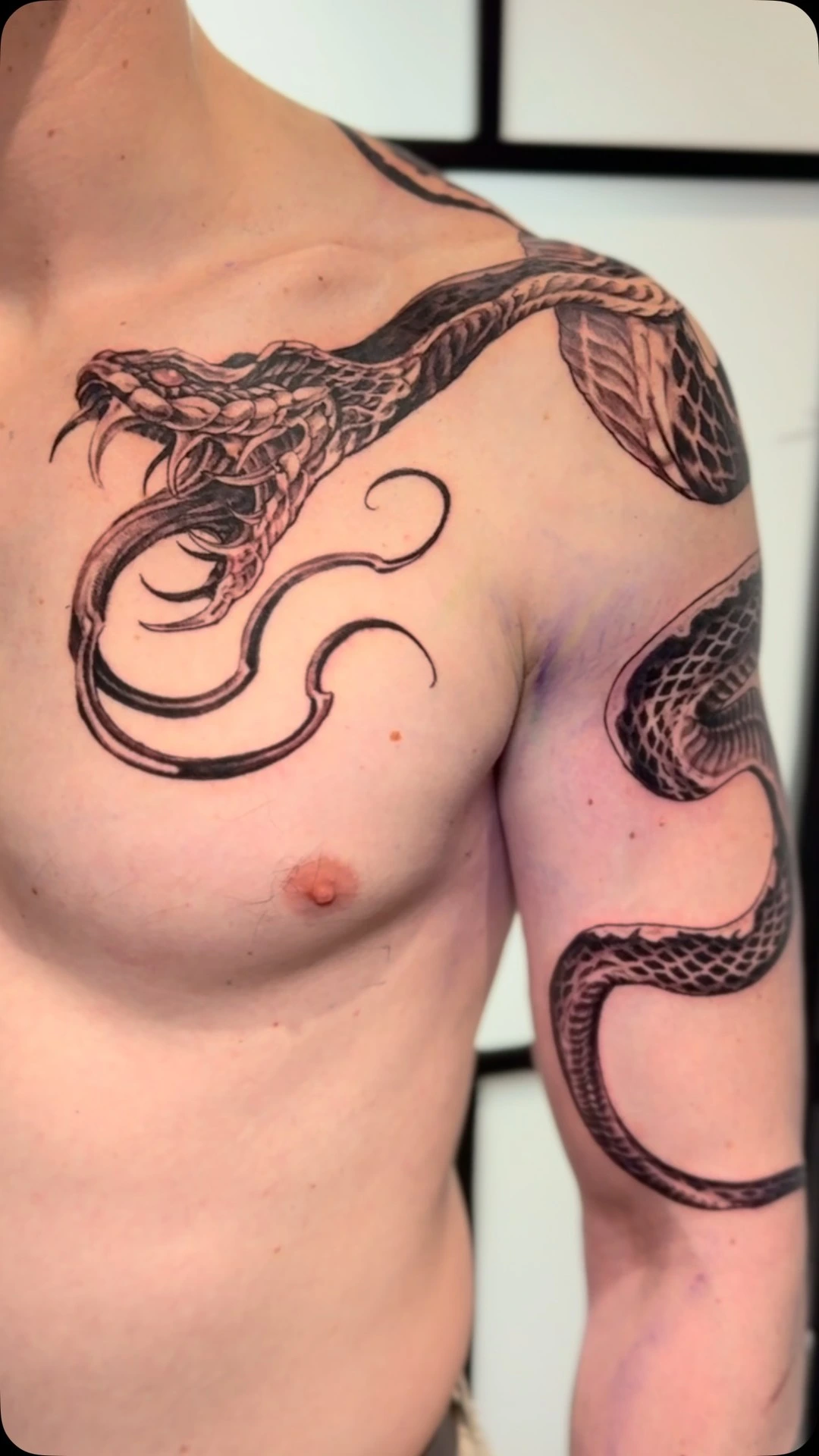 Coiled snake draped across chest & shoulder with hood/strike