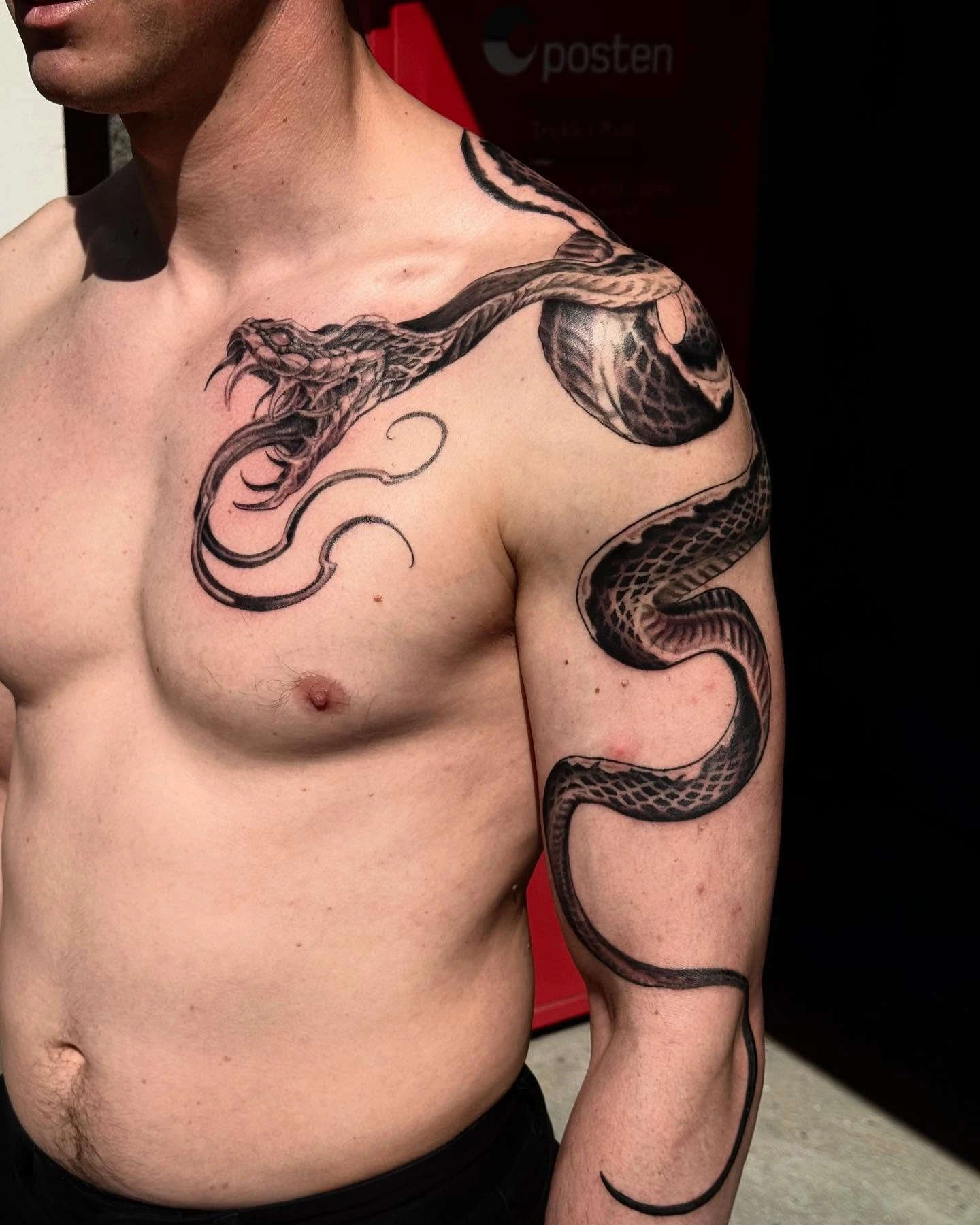 Coiled cobra striking across chest & shoulder