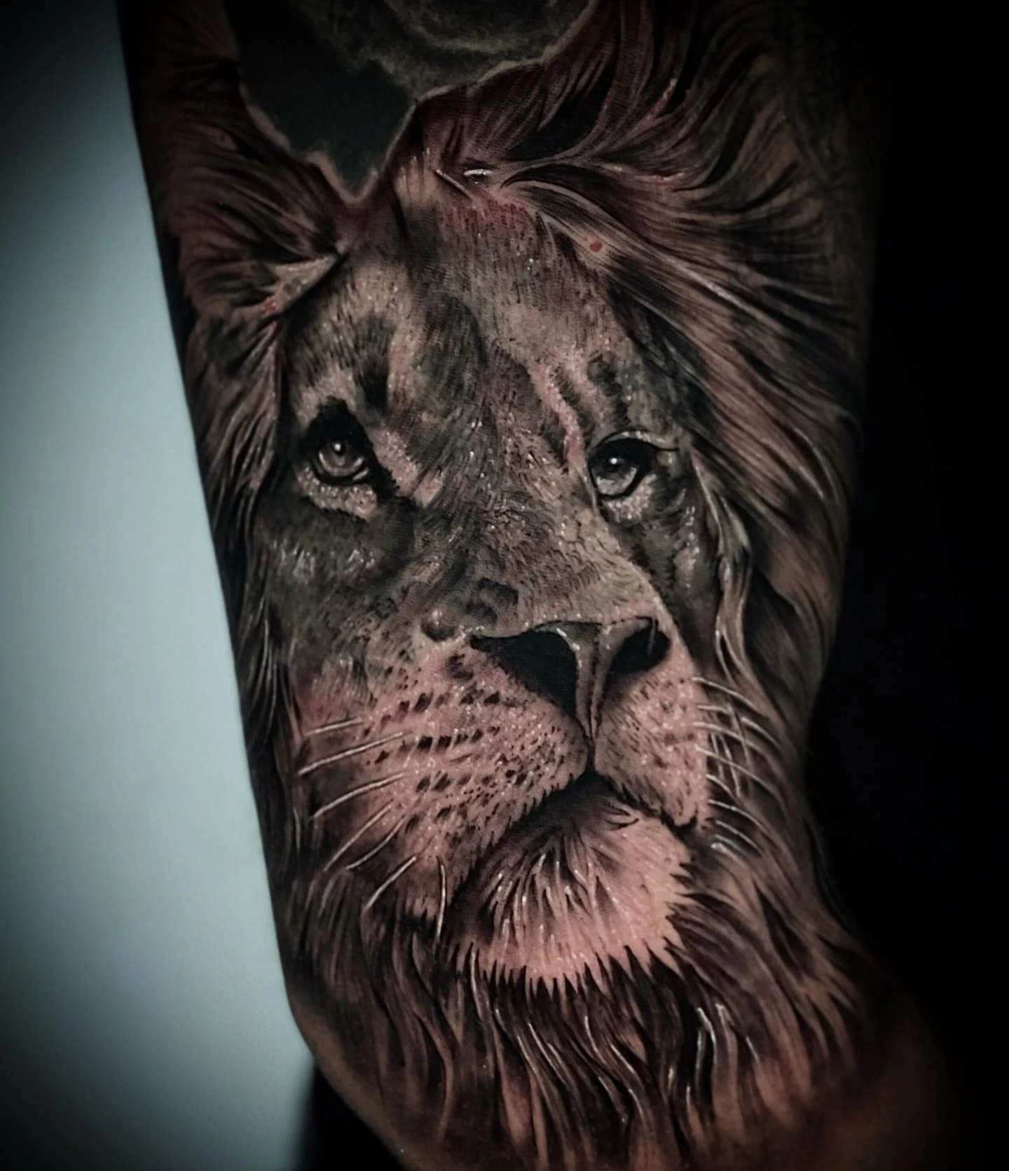 lion portrait — explicit cover-up piece