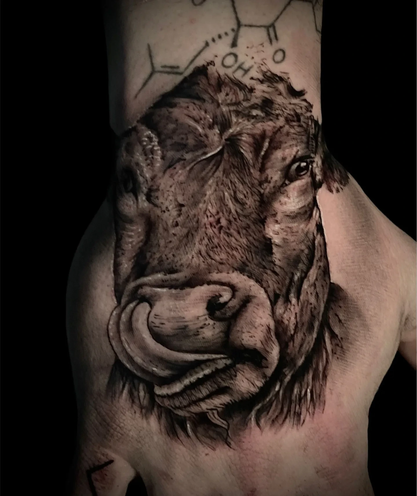 bull/cow head photoreal portrait with chemistry molecule structure on hand