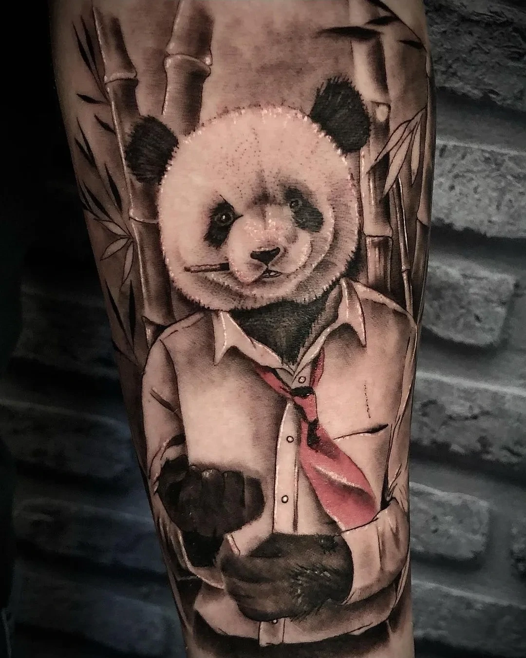 panda in shirt + tie with bamboo backdrop